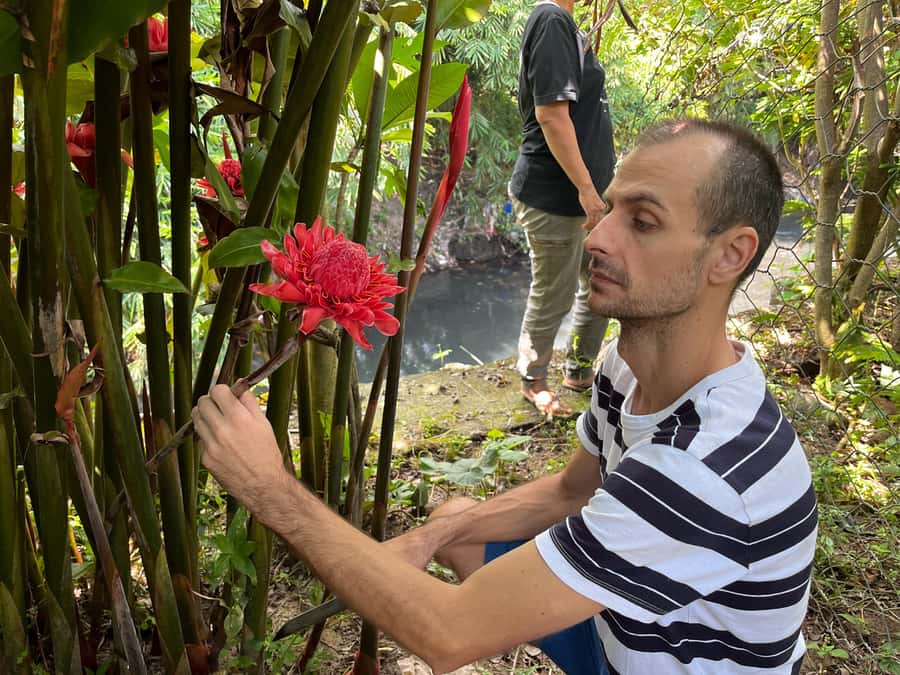 From Garden to Table: Indonesian Cooking Class in Yogyakarta - A garden-first introduction to Javanese cooking