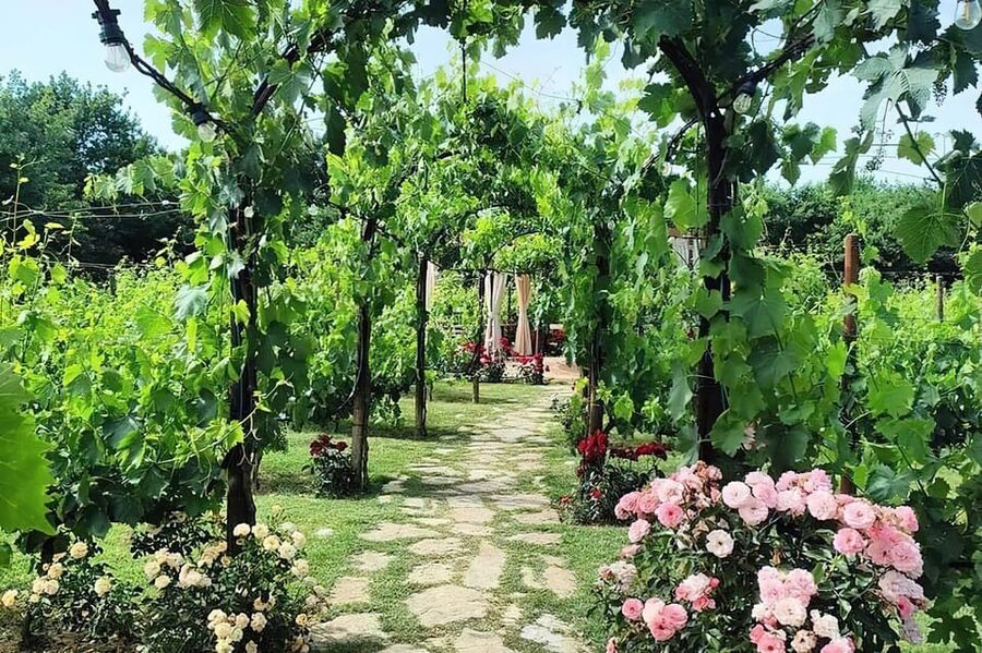 From Livorno: Authentic italian Pasta Cooking Class - From Livorno to the hills around San Gimignano