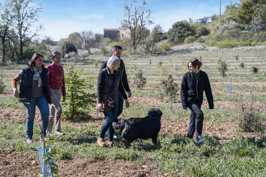 From location: Truffle farm visit, culinary workshop, meal - Meeting Provence’s black diamond at Maison de Garniac