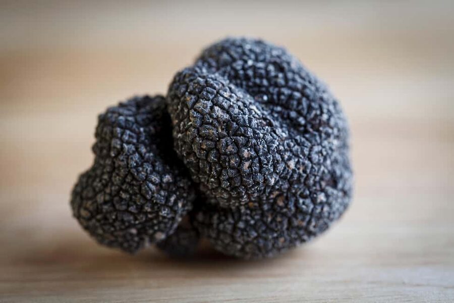 From location: Truffle farm visit, culinary workshop, meal - Should you book Maison de Garniac?