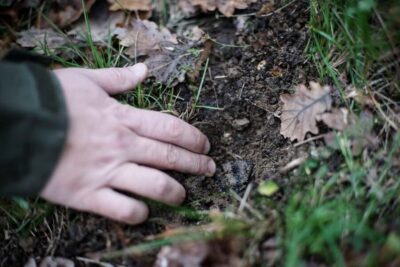 From location: Truffle farm visit, culinary workshop, meal