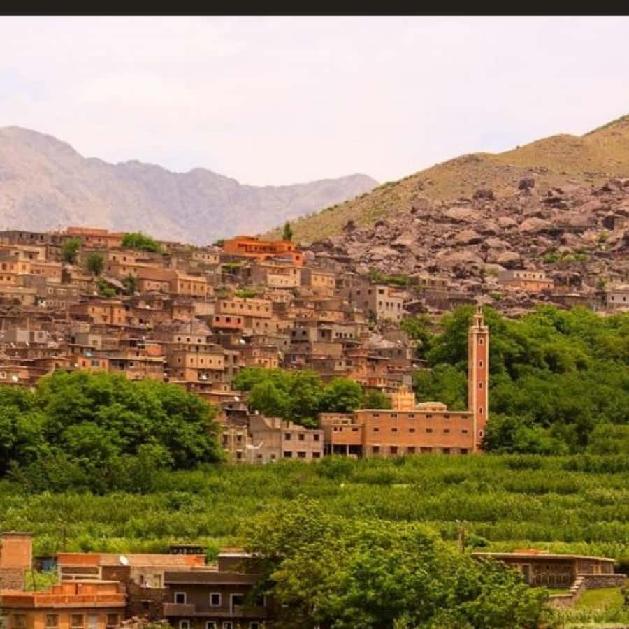 From Marrakech: Atlas Mountains & Berber Lunch - The homemade Amazigh lunch is the heart of the day