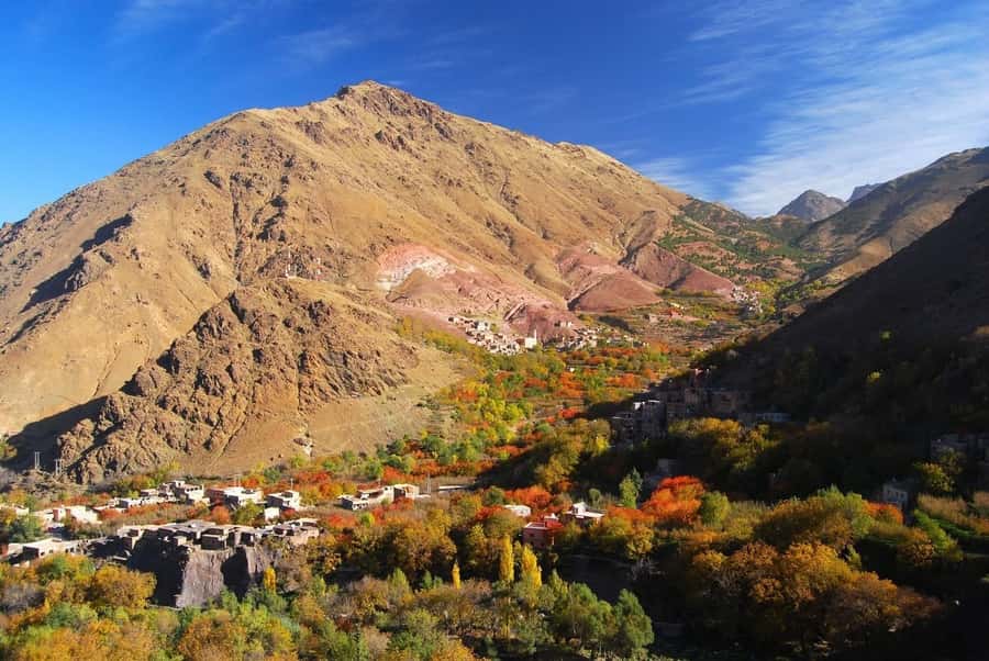 From Marrakech: High Atlas Berber Cooking Class - A short walk to the Berber home