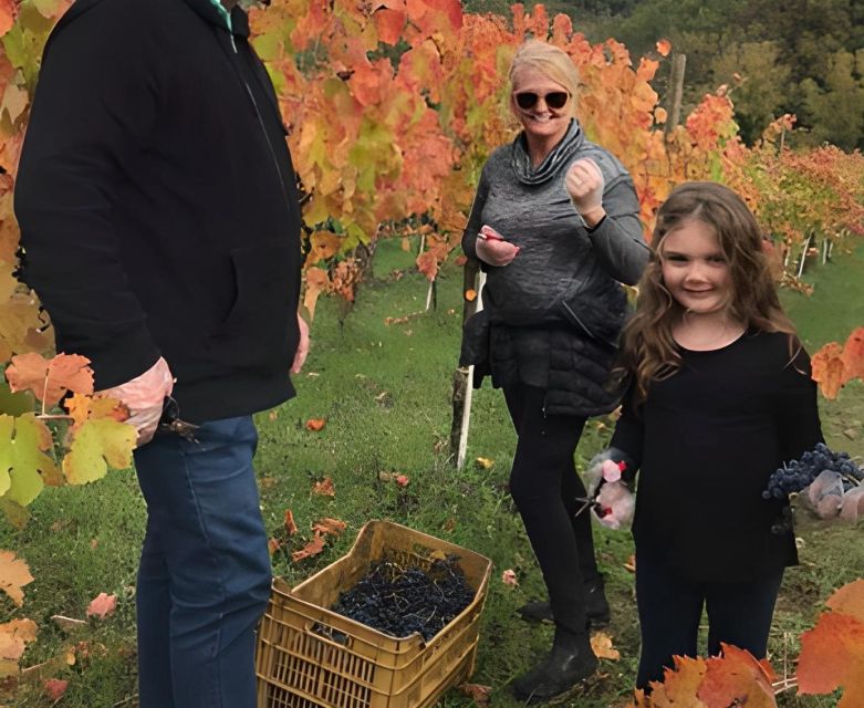 From Sorrento & Naples: Cortecorbo Wine & Cooking Experience - What makes the family setting different