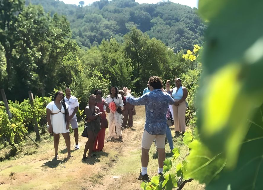 From Sorrento & Naples: Cortecorbo Wine & Cooking Experience - Is $112.15 a good value?