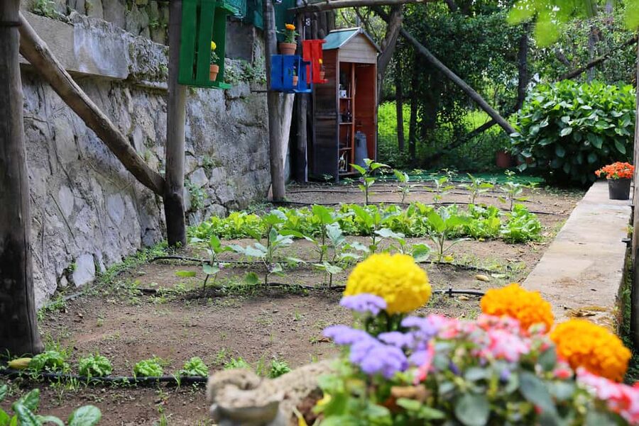From Sorrento to Meta: cook with a local family and enjoy the garden!! - Key points at a glance