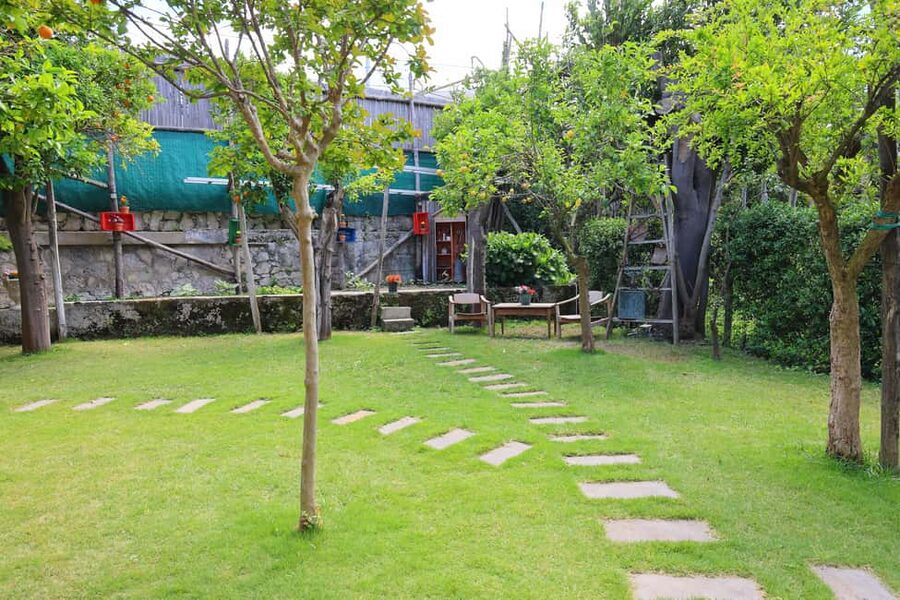 From Sorrento to Meta: cook with a local family and enjoy the garden!! - From Sorrento to a family garden in Meta