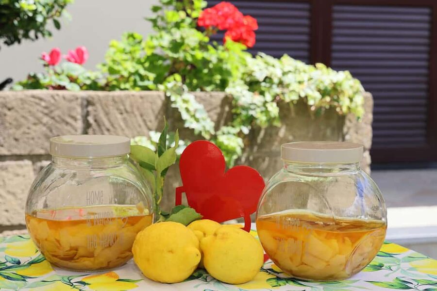 From Sorrento to Meta: cook with a local family and enjoy the garden!! - Who will enjoy this most