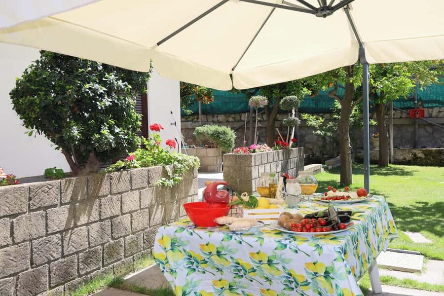 From Sorrento to Meta: cook with a local family and enjoy the garden!! - A welcome with prosecco and garden fruit