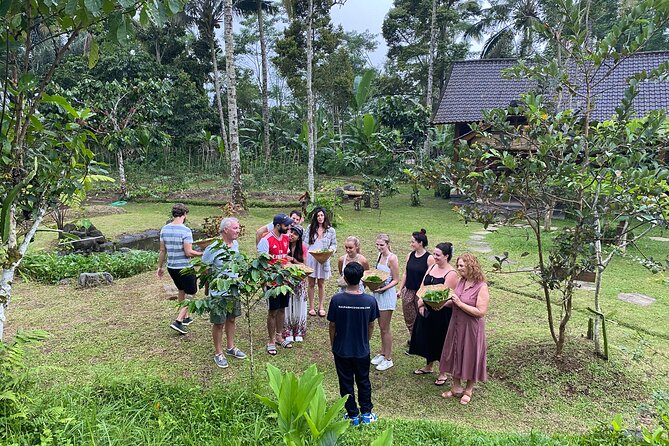 From Ubud: Authentic Bali Farm Cooking School & Organic Farm - From Ubud streets to a Taro Village farm