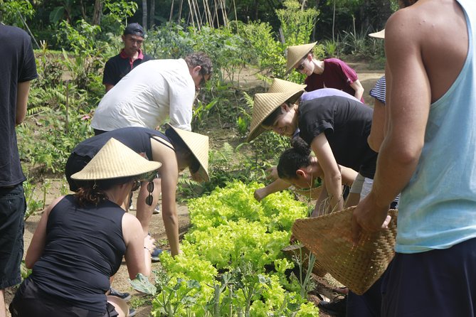 From Ubud: Authentic Bali Farm Cooking School & Organic Farm - Transport, timing, and what to bring