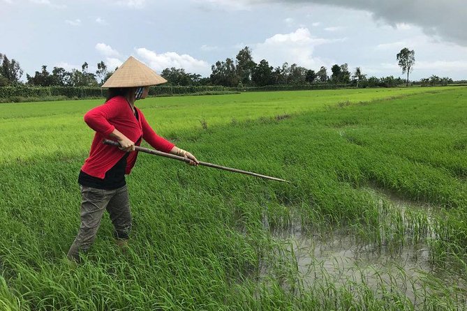 FULL Day - CAI RANG FLOATING MARKET, COOKING CLASS AND EXPLORE THE COUNTRYSIDE - Cooking lunch at a local family home