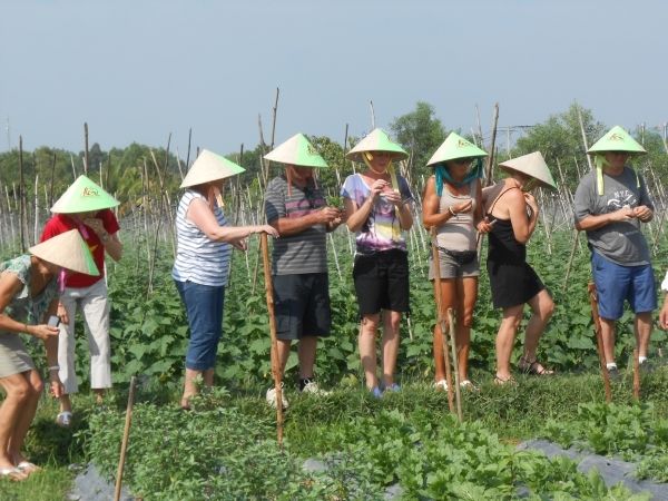 Full-Day Farming & Cooking class at Agricultural Village - Picking ingredients in a traditional hat