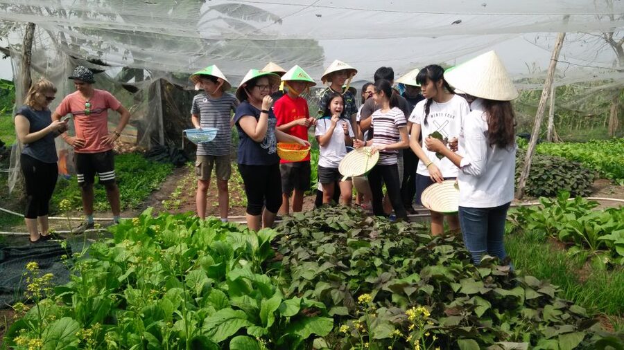 Full-Day Farming & Cooking class at Agricultural Village - What the $70 price really covers