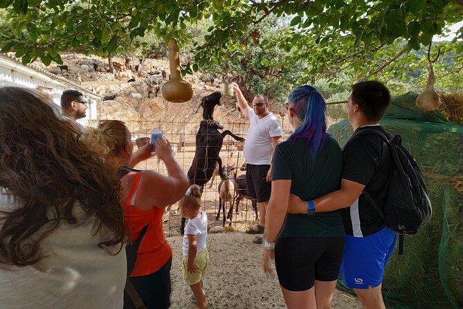 Full-Day Jeep Safari Tour with Cooking Lesson - The road to Ano Kera adds real adventure