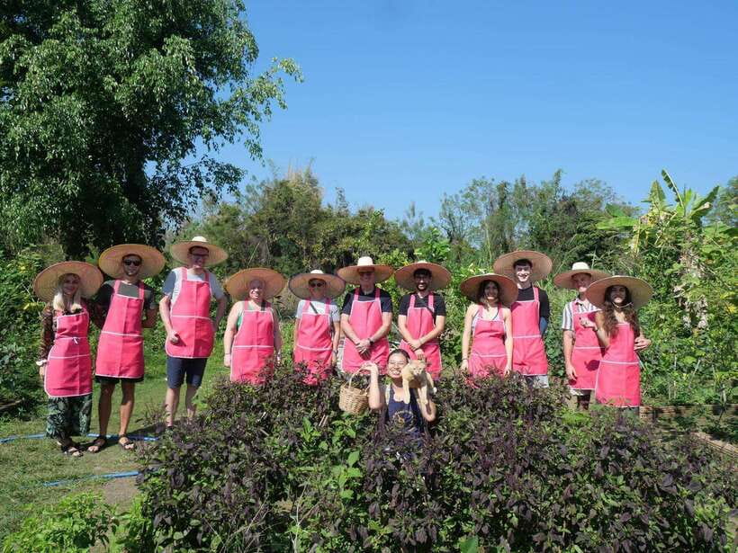 Full Day Thai Cooking Class in Organic Farm and Market - Should you book this class?
