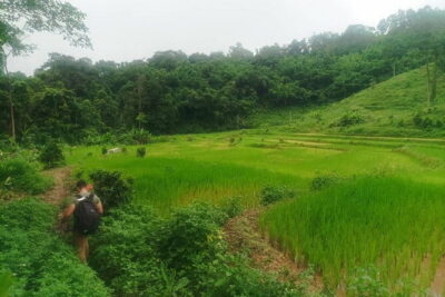 Full Day Trekking & bamboo cooking Tour in Chiang Rai