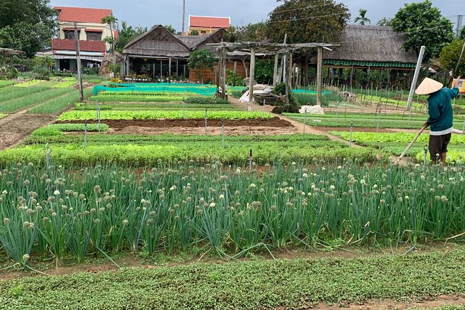 Full Experience Tour: Cooking Class & Basket Boat at Eco-Village - The water buffalo ride
