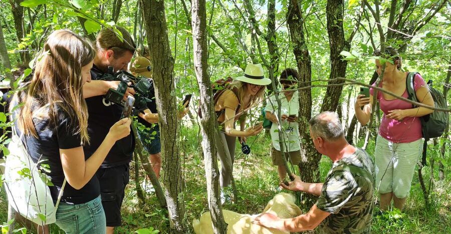 Gažon to Istria: Truffle Hunting, Cooking & Tasting - Gažon gives the experience an Istrian setting