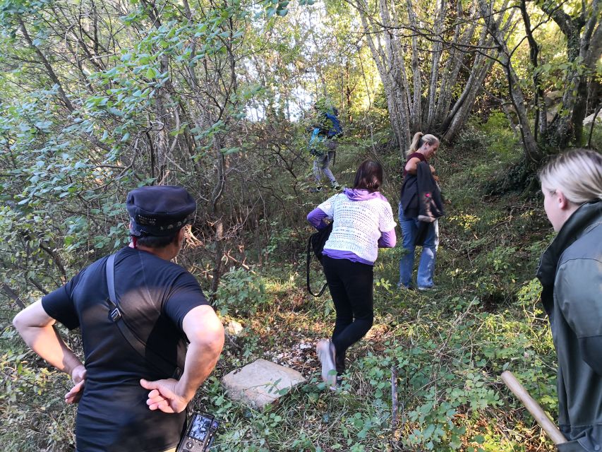 Gažon to Istria: Truffle Hunting, Cooking & Tasting - The short walk to a working truffle demonstration