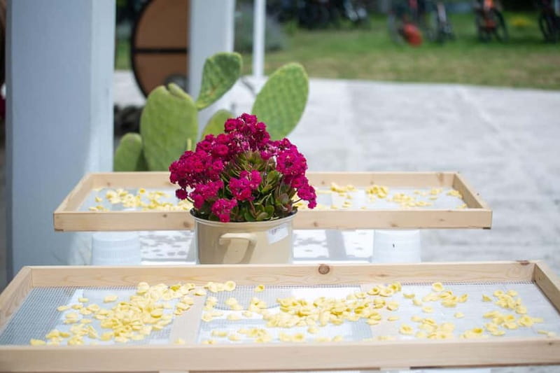 Gioia del Colle: Apulian Cooking Class in a Masseria - Getting there from Gioia del Colle