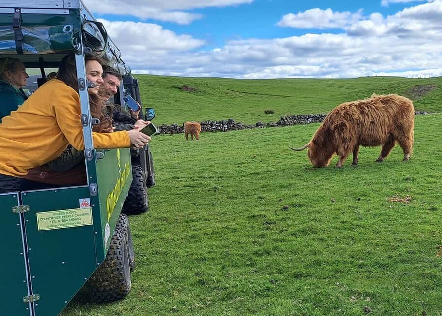 Glasgow: Highland Cow Trailer Tour with home baking - The 15-minute safety briefing