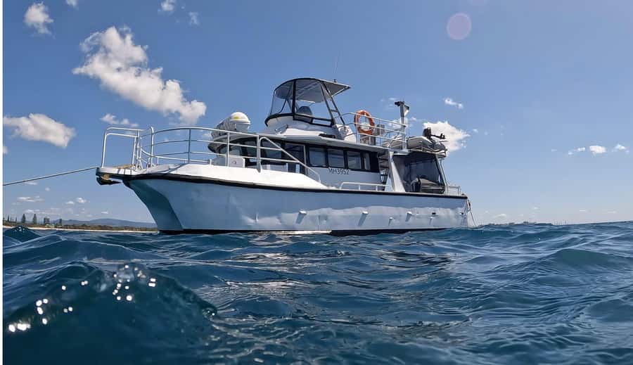 Gold Coast: Cook Island Marine Reserve Scuba Experience Dive - From Miami to Cook Island by boat