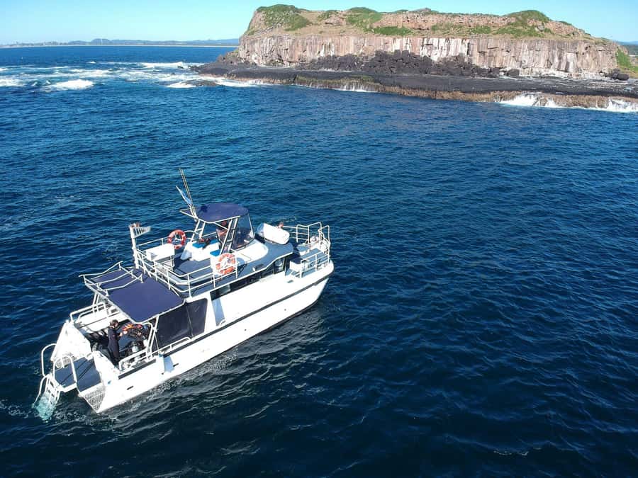 Gold Coast: Cook Island Marine Reserve Scuba Experience Dive - Entering the Cook Island Marine Reserve