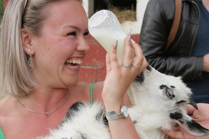 Gourmet Lunch Farm Tour with Cooking Class - What the $90.31 Price Really Covers