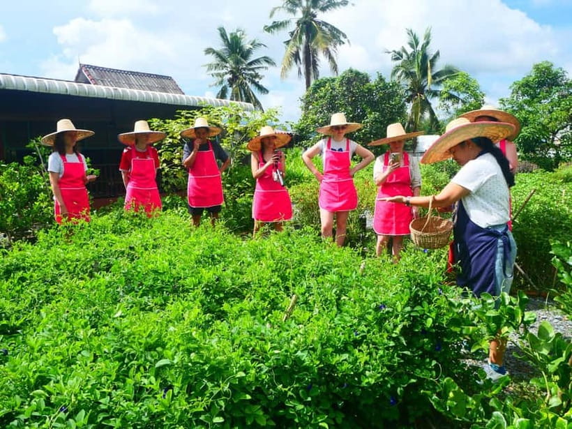 Half-Day Thai Cooking Class on a Local Farm Near Chiang Mai - FAQ
