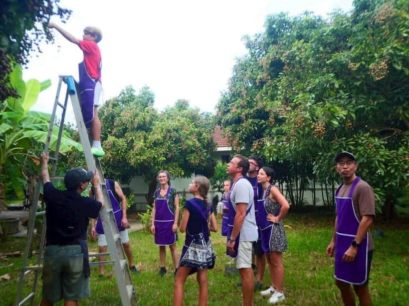 Half-Day Thai Cooking Class on a Local Farm Near Chiang Mai - Herbs and Fruit at Smile Organic Farm