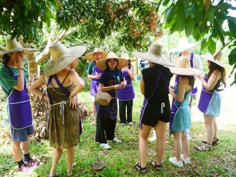 Half-Day Thai Cooking Class on a Local Farm Near Chiang Mai - An English-Speaking Lesson With a Friendly Pace
