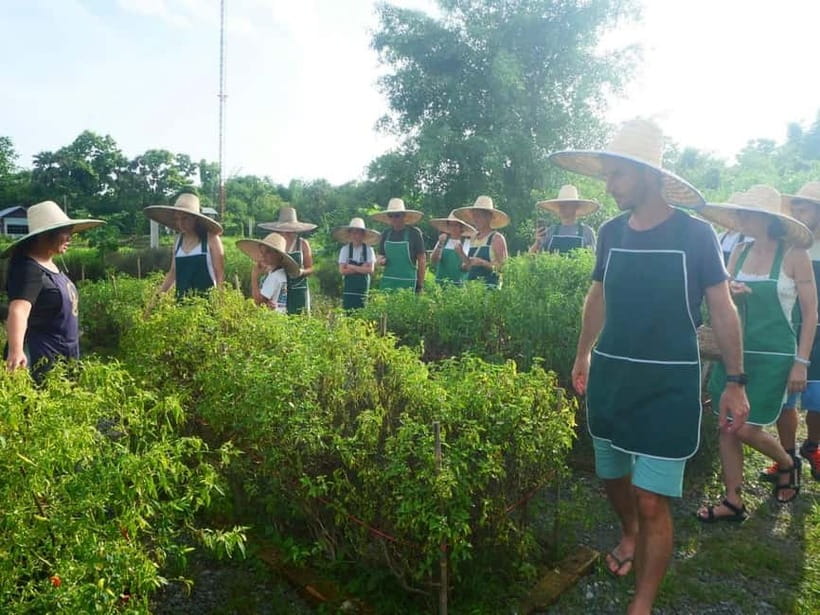 Half-Day Thai Cooking Class on a Local Farm Near Chiang Mai - Why the $28 Price Makes Sense