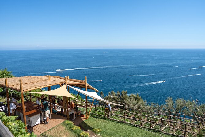 Hands-On Pizza Making Class & Farmhouse Tour with Sea Views - Key points to know before booking