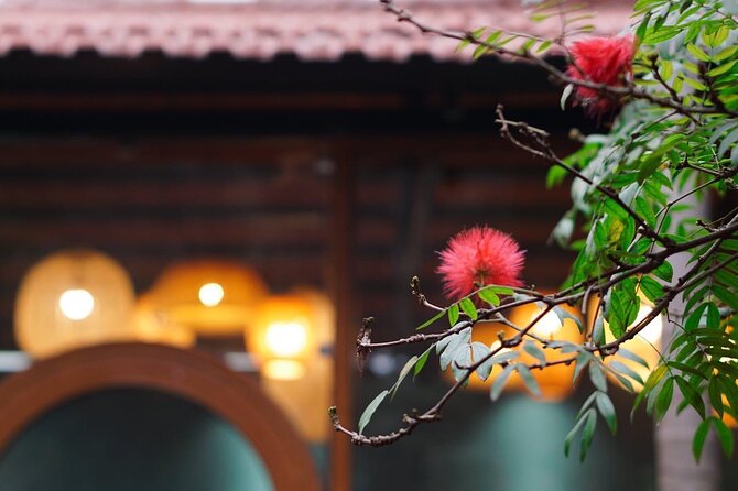 Hanoi Cooking Class: Culture, Local Market & Meaning CSR Impact - Weather, clothing, and access