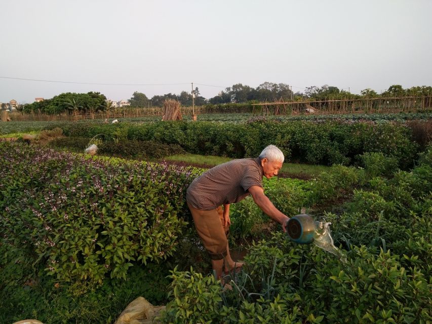 Hanoi Farm Tour and Cooking Class with Local Family - What the $43 price really covers