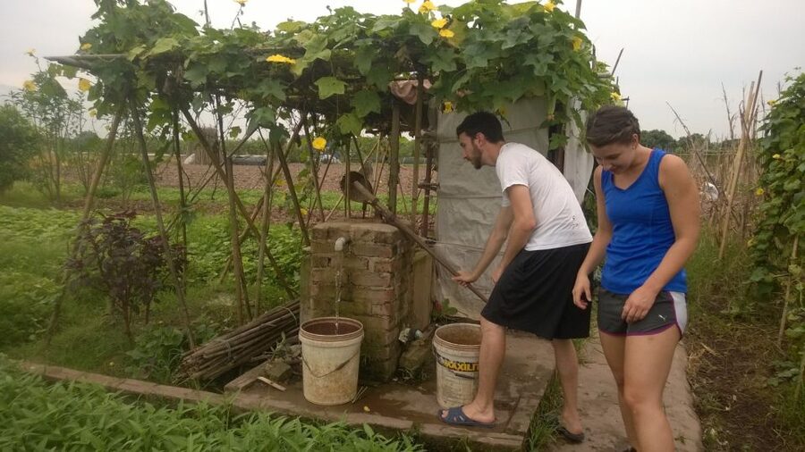 Hanoi Farm Tour and Cooking Class with Local Family - Who will enjoy this outing most