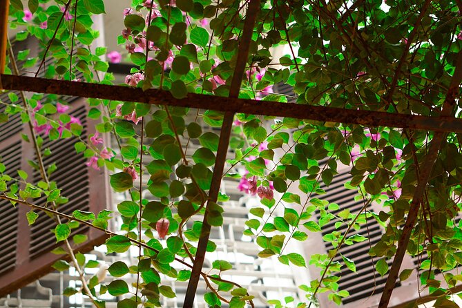 Hanoi: Handcrafted Wood Carving Workshop with Local Artisan - The villa setting and the value of slowing down