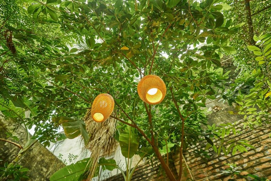 Hanoi’s Culinary: Authentic Cooking Class and Local Market - From Hanoi’s market stalls to the cooking table