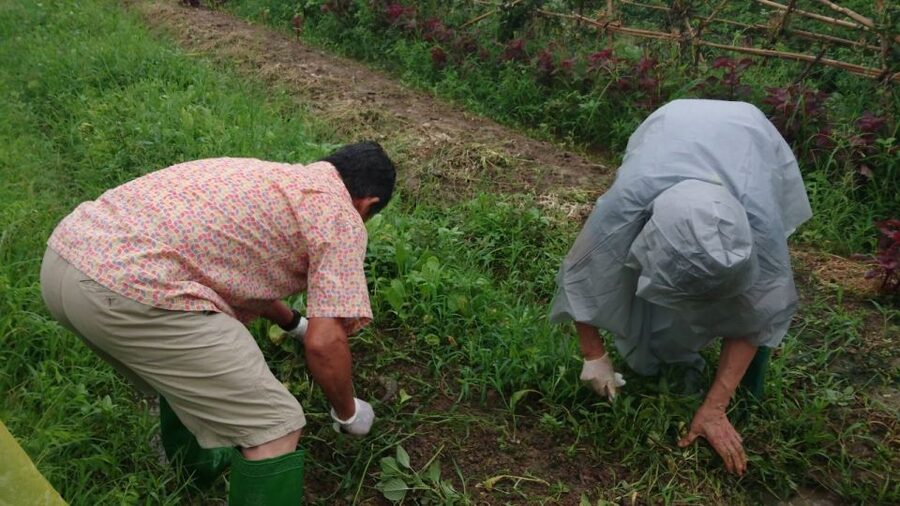 Hanoi: Village Farm Tour and Cooking Class with Lunch - Timing, Weather, and Booking Details