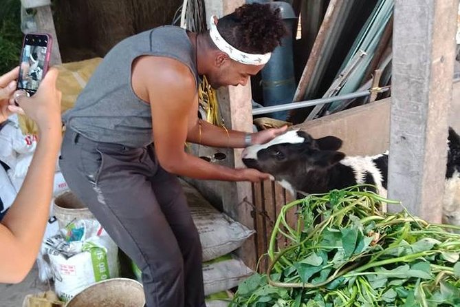 Ho Chi Minh City Full-Day Farm trip with Healthy Cooking Class - How the $73 price holds up