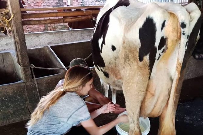 Ho Chi Minh City Full-Day Farm trip with Healthy Cooking Class - Who will enjoy this farm-to-table day most