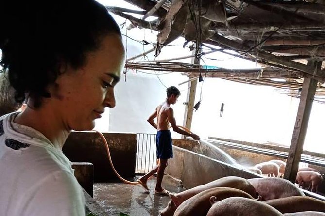 Ho Chi Minh City Full-Day Farm trip with Healthy Cooking Class - Picking plants and understanding Vietnamese food balance