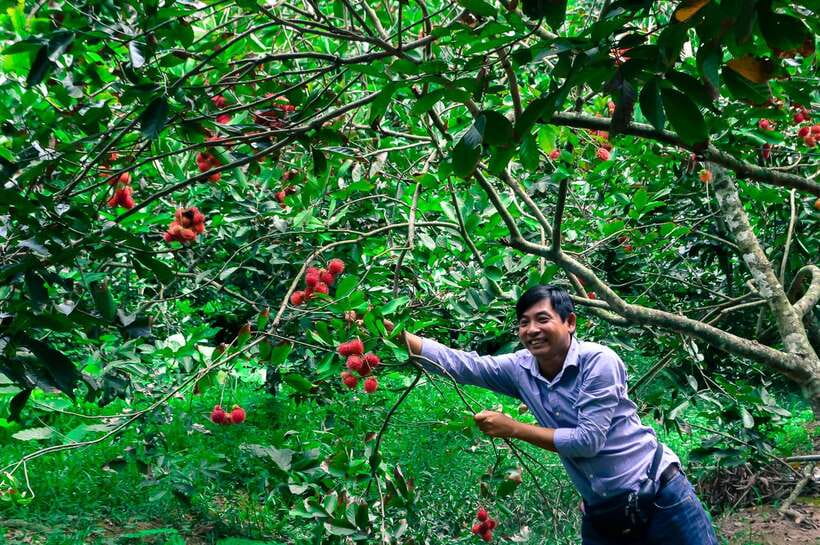 Ho Chi Minh City: Mekong Delta Tour with Sampan Journey - How the $13 price works in practice