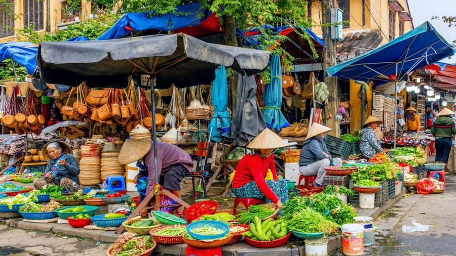 Hoi An: Authentic Cooking class in organic Herb Village - Key points at a glance
