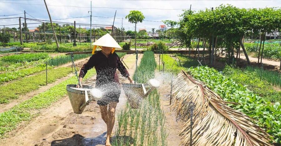 Hoi An: Authentic Cooking class in organic Herb Village - Why Tra Que is a better cooking setting than a city kitchen