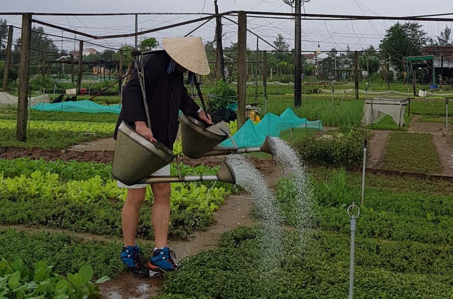 Hoi An Cooking Class With Market and Bamboo Basket Boat Tour - 8:00 AM pickup and the trip out of town