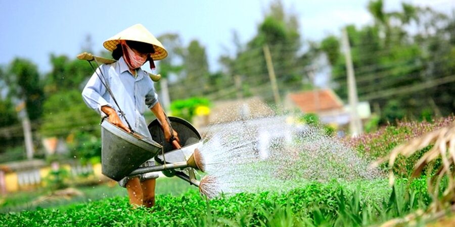 Hoi An: Evening Cooking Class with Locals in Herbs Village - Key points to know before booking