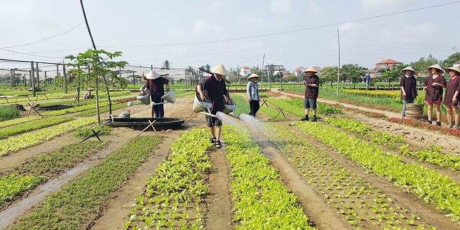 Hoi An: Evening Cooking Class with Locals in Herbs Village - How easy is the class for a first-time cook?