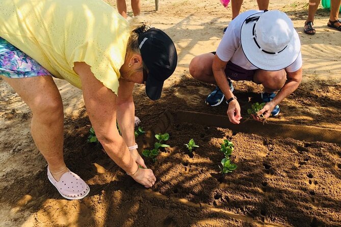 Hoi An Local Market and Vegetable Village Cooking Class - A food lesson that begins at Hoi An Market